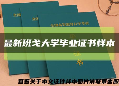 最新班戈大学毕业证书样本缩略图
