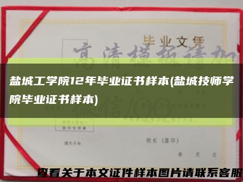盐城工学院12年毕业证书样本(盐城技师学院毕业证书样本)缩略图