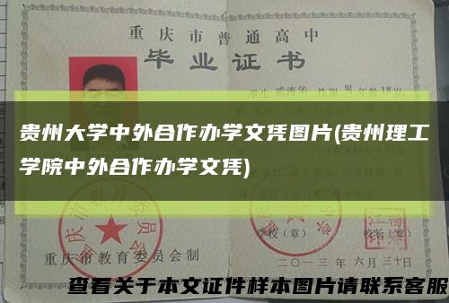 贵州大学中外合作办学文凭图片(贵州理工学院中外合作办学文凭)缩略图