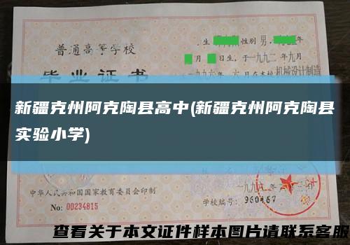 新疆克州阿克陶县高中(新疆克州阿克陶县实验小学)缩略图