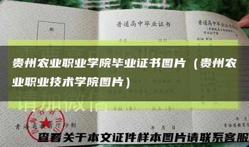 贵州农业职业学院毕业证书图片（贵州农业职业技术学院图片）缩略图