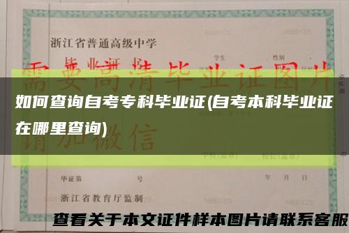 如何查询自考专科毕业证(自考本科毕业证在哪里查询)缩略图