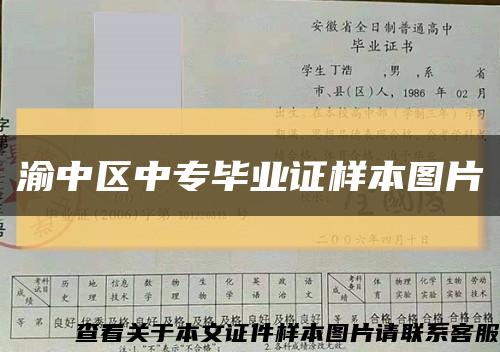 渝中区中专毕业证样本图片缩略图