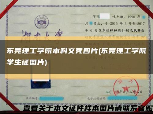 东莞理工学院本科文凭图片(东莞理工学院学生证图片)缩略图