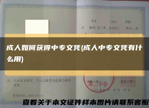 成人如何获得中专文凭(成人中专文凭有什么用)缩略图