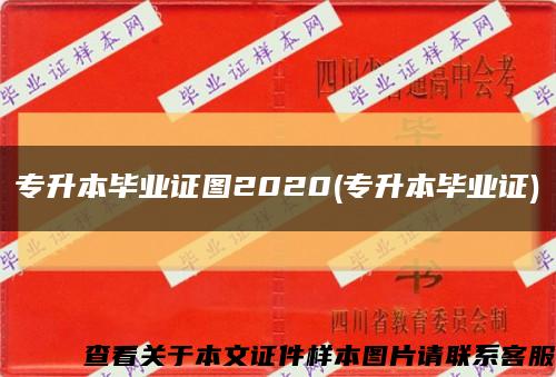 专升本毕业证图2020(专升本毕业证)缩略图
