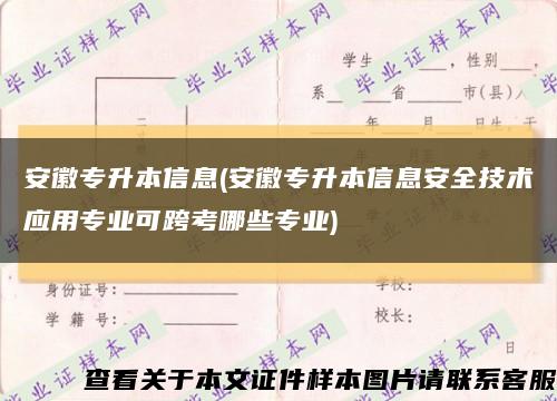安徽专升本信息(安徽专升本信息安全技术应用专业可跨考哪些专业)缩略图