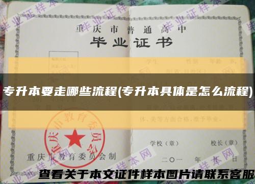 专升本要走哪些流程(专升本具体是怎么流程)缩略图