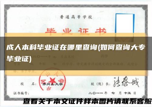成人本科毕业证在哪里查询(如何查询大专毕业证)缩略图