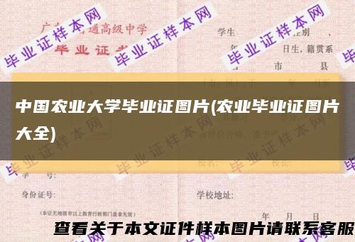 中国农业大学毕业证图片(农业毕业证图片大全)缩略图