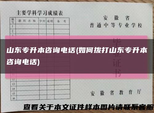 山东专升本咨询电话(如何拨打山东专升本咨询电话)缩略图