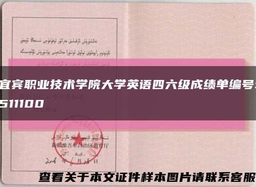 宜宾职业技术学院大学英语四六级成绩单编号:511100缩略图