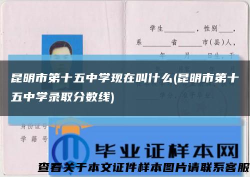 昆明市第十五中学现在叫什么(昆明市第十五中学录取分数线)缩略图