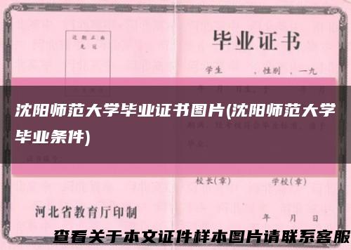 沈阳师范大学毕业证书图片(沈阳师范大学毕业条件)缩略图