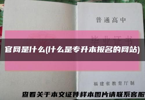 官网是什么(什么是专升本报名的网站)缩略图