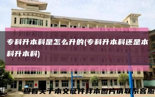 专科升本科是怎么升的(专科升本科还是本科升本科)缩略图