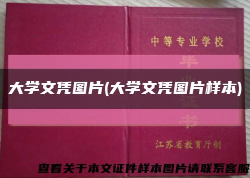 大学文凭图片(大学文凭图片样本)缩略图