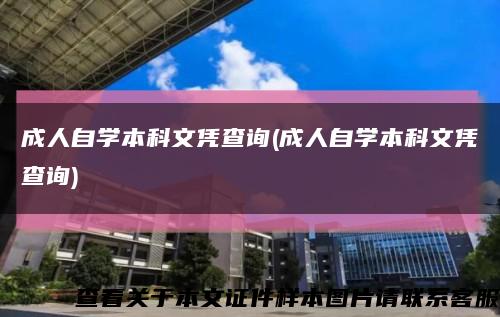 成人自学本科文凭查询(成人自学本科文凭查询)缩略图