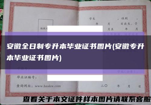安徽全日制专升本毕业证书图片(安徽专升本毕业证书图片)缩略图