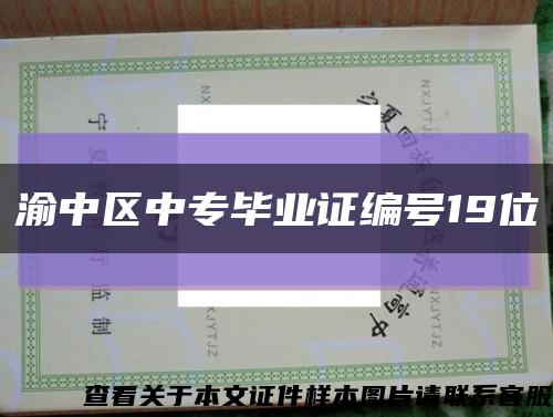 渝中区中专毕业证编号19位缩略图