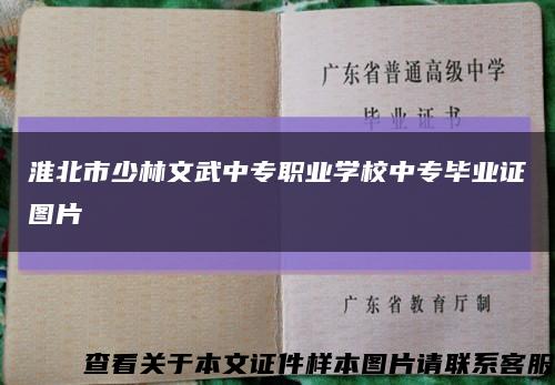 淮北市少林文武中专职业学校中专毕业证图片缩略图