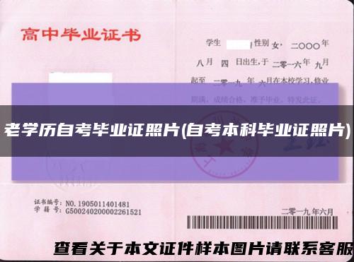 老学历自考毕业证照片(自考本科毕业证照片)缩略图