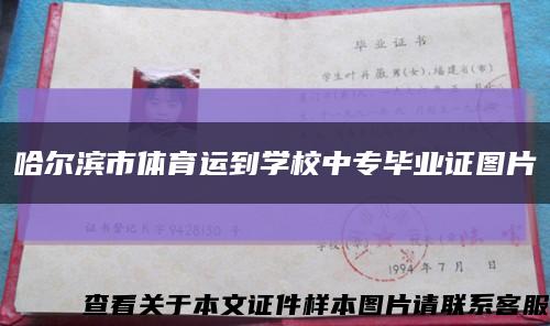 哈尔滨市体育运到学校中专毕业证图片缩略图
