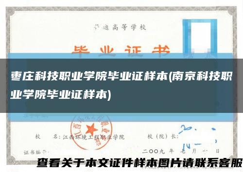 枣庄科技职业学院毕业证样本(南京科技职业学院毕业证样本)缩略图