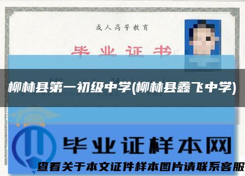 柳林县第一初级中学(柳林县鑫飞中学)缩略图