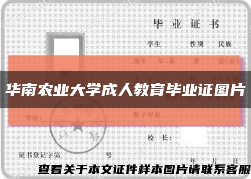 华南农业大学成人教育毕业证图片缩略图