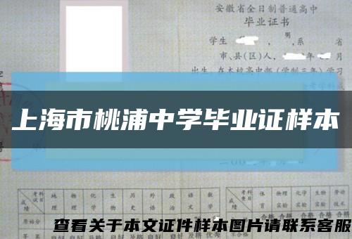上海市桃浦中学毕业证样本缩略图