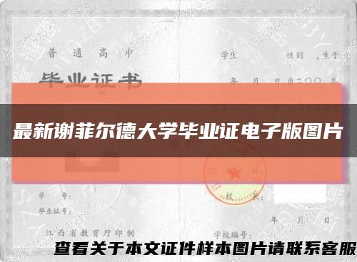 最新谢菲尔德大学毕业证电子版图片缩略图