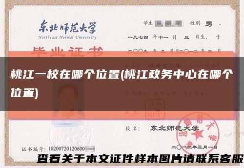 桃江一校在哪个位置(桃江政务中心在哪个位置)缩略图