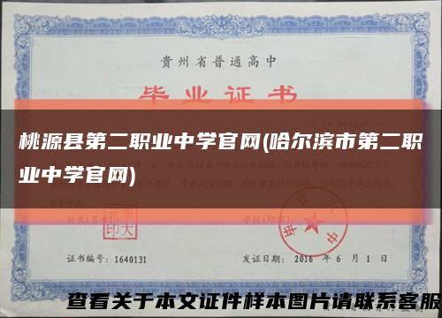 桃源县第二职业中学官网(哈尔滨市第二职业中学官网)缩略图