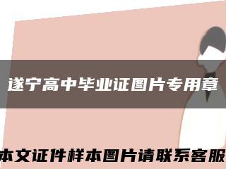 遂宁高中毕业证图片专用章缩略图