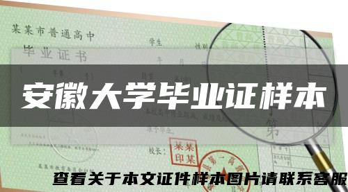 安徽大学毕业证样本缩略图