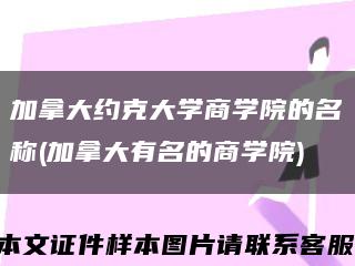 加拿大约克大学商学院的名称(加拿大有名的商学院)缩略图
