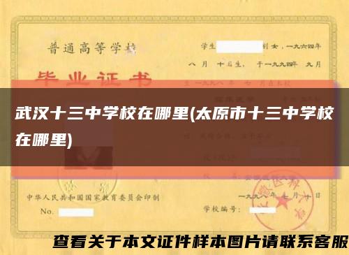 武汉十三中学校在哪里(太原市十三中学校在哪里)缩略图