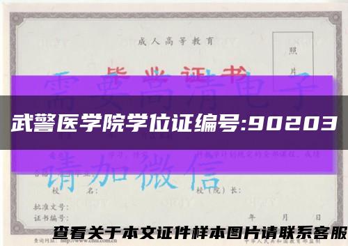 武警医学院学位证编号:90203缩略图