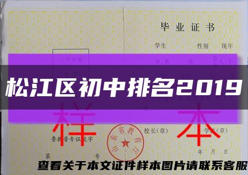 松江区初中排名2019缩略图