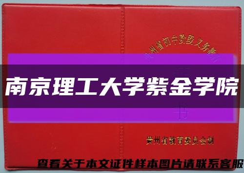 南京理工大学紫金学院缩略图