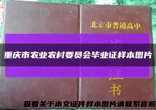 重庆市农业农村委员会毕业证样本图片缩略图