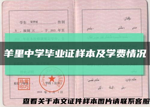 羊里中学毕业证样本及学费情况缩略图