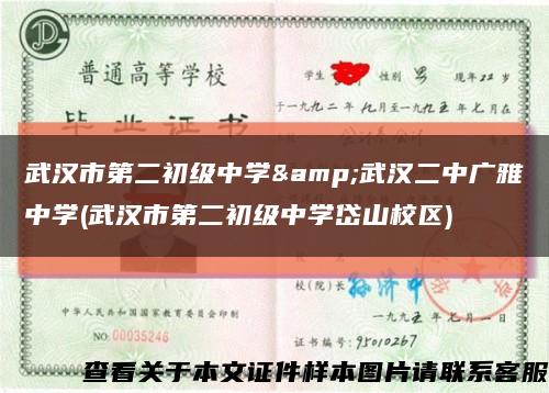 武汉市第二初级中学&武汉二中广雅中学(武汉市第二初级中学岱山校区)缩略图