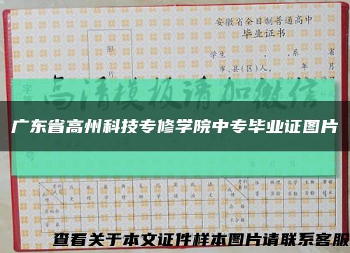 广东省高州科技专修学院中专毕业证图片缩略图