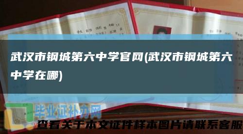 武汉市钢城第六中学官网(武汉市钢城第六中学在哪)缩略图