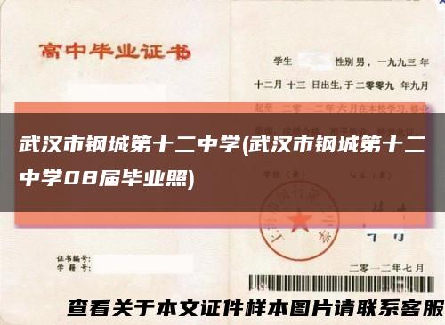 武汉市钢城第十二中学(武汉市钢城第十二中学08届毕业照)缩略图