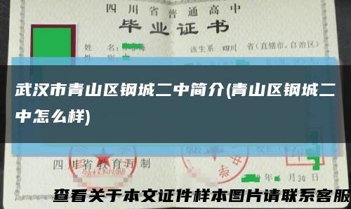 武汉市青山区钢城二中简介(青山区钢城二中怎么样)缩略图