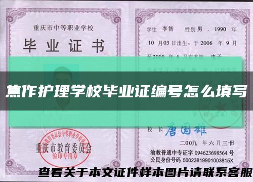 焦作护理学校毕业证编号怎么填写缩略图