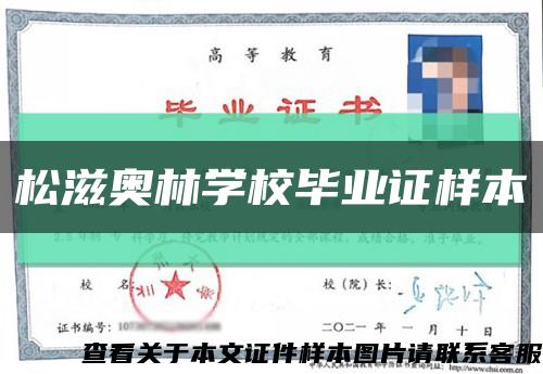 松滋奥林学校毕业证样本缩略图